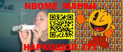 гидра Кингисепп