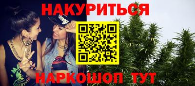 гидра Кингисепп