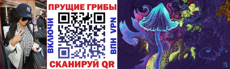 Псилоцибиновые грибы Magic Shrooms blacksprut зеркало Шали