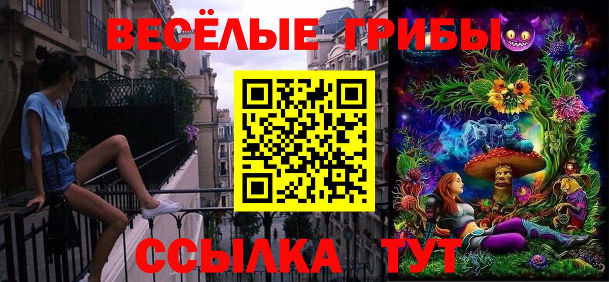 Псилоцибиновые грибы Cubensis Шали