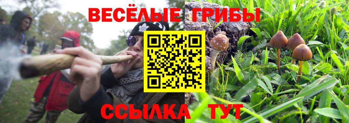 Шали  Псилоцибиновые грибы MAGIC MUSHROOMS  Вход с VPN 